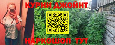 мяу мяу мука Кинель