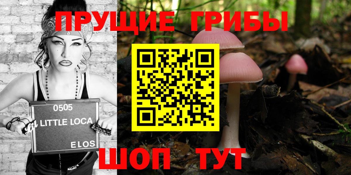 Галлюциногенные грибы Psilocybine cubensis Ирбит