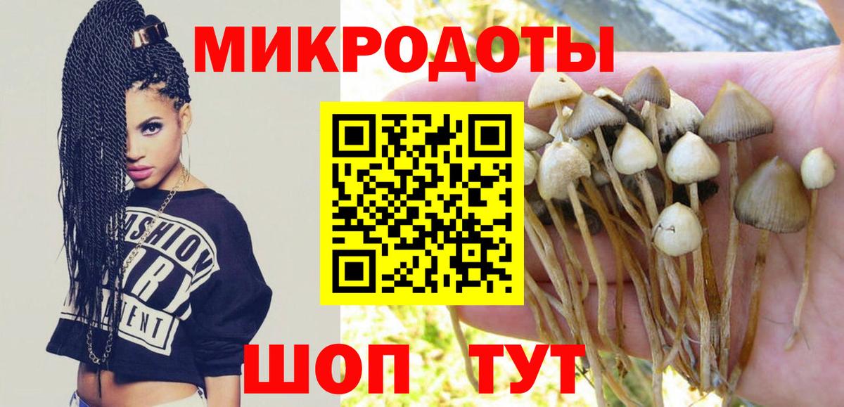 Галлюциногенные грибы Cubensis  где можно купить наркотик  Псилоцибиновые грибы прущие грибы  Ирбит  Вход с VPN 